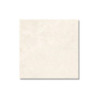 Musterfliese Belvit Parma Beige Matt 60x60cm