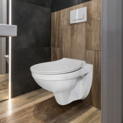 WC Toilette Hänge Wand WC (RosenStern) mit Soft-Close Deckel - UNI+Deckel - 3