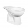 Aqua Blue Stand-toilet with Taharet / Bidet / Shower WC Funtkion for Cutting Kitchenette Leave
