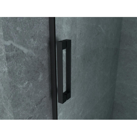 Aloni niche door sliding door black matt 8 mm (BXH) 1200 x 2000 mm