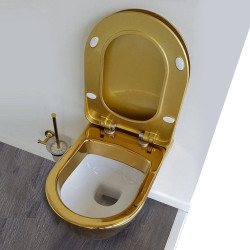Creavit Design Hänge WC Gold mit Bidetfunktion - TP325-50CB00E-AK00 - 1