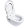 Hänge Dusch WC Taharet Bidet Funktion Toilette Soft-Close Deckel